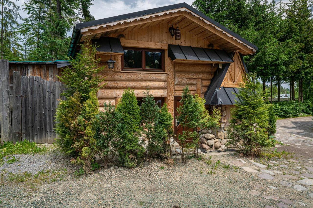 Domki Sywor Kościelisko Extérieur photo